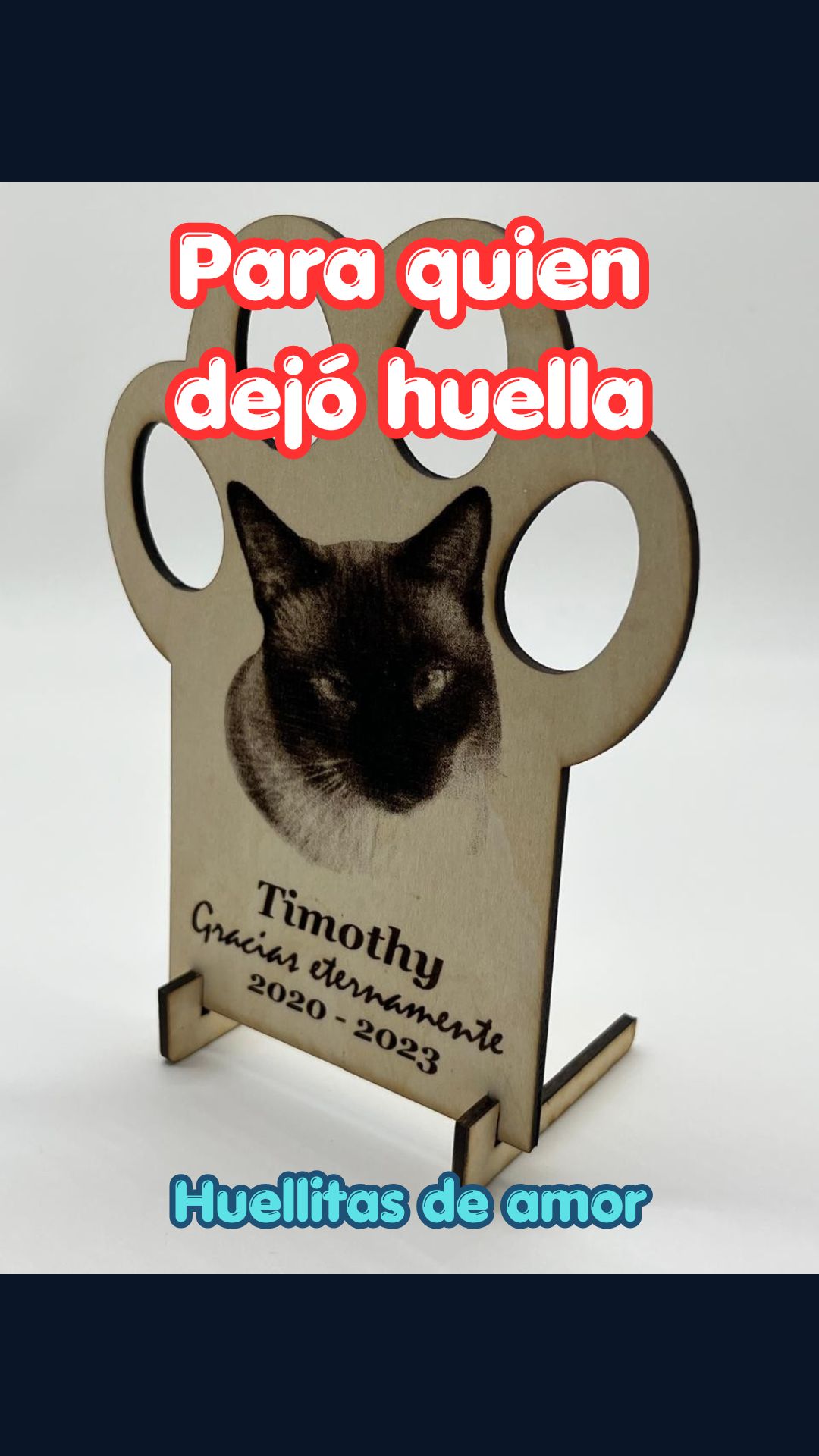 Miniatura del video El recuerdo de Timothy