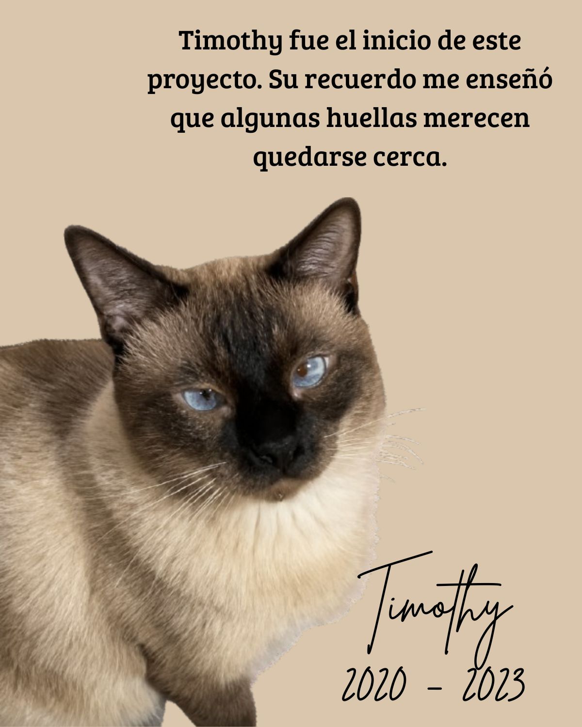 Ejemplo de memorial en madera para Timothy